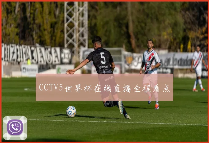 CCTV5世界杯在线直播全程看点
