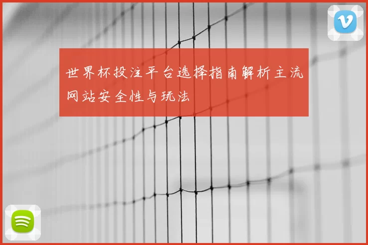 世界杯投注平台选择指南解析主流网站安全性与玩法