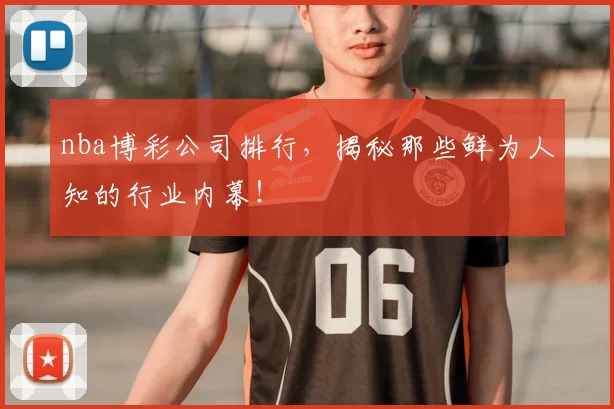 nba博彩公司排行，揭秘那些鲜为人知的行业内幕！