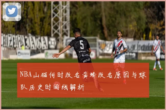 NBA山猫何时改名黄蜂改名原因与球队历史时间线解析