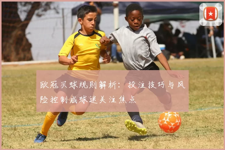 欧冠买球规则解析：投注技巧与风险控制成球迷关注焦点