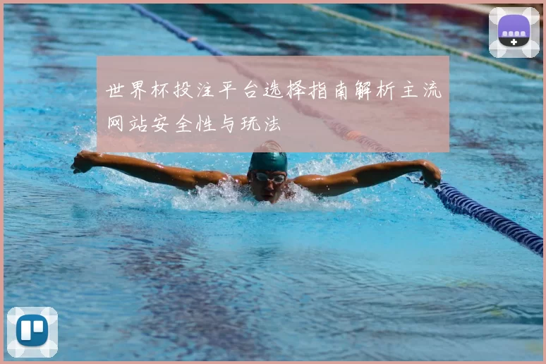 世界杯投注平台选择指南解析主流网站安全性与玩法