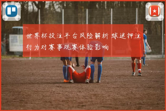 世界杯投注平台风险解析 球迷押注行为对赛事观赛体验影响