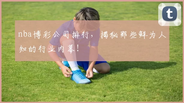 nba博彩公司排行，揭秘那些鲜为人知的行业内幕！