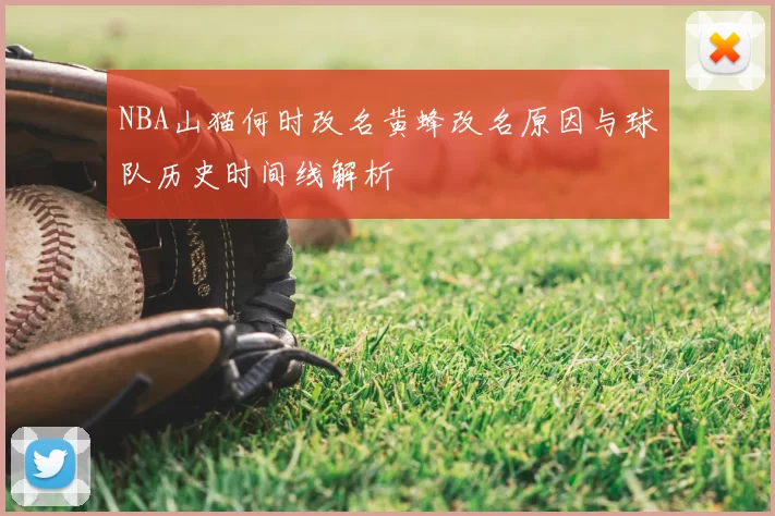 NBA山猫何时改名黄蜂改名原因与球队历史时间线解析