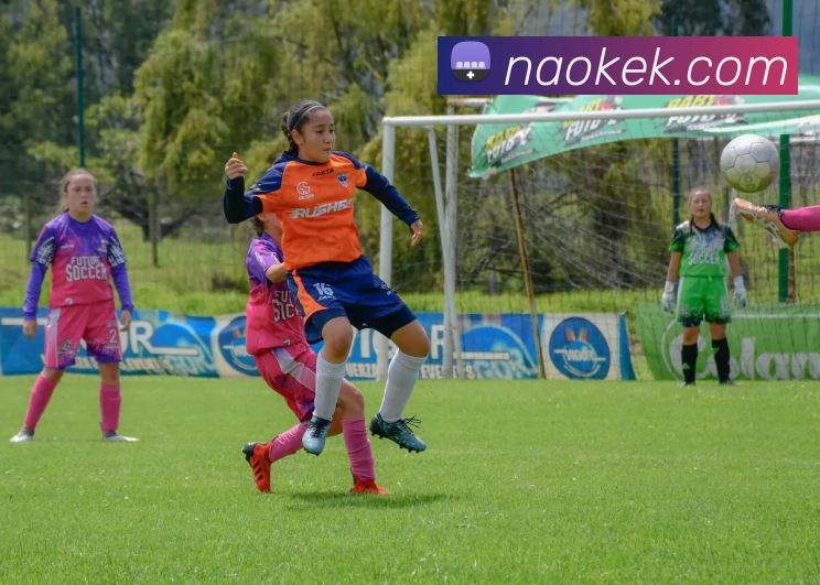 辅助工具 辅助工具